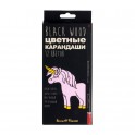 Карандаши цветные ПЛАСТИКОВЫЕ  BlackWoodColor , 12цв, 30-0097