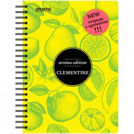 Бизнес-тетрадь  ароматизир.100л,кл,А5, КЛЕМЕНТИН,спир,тонир.блок 84906