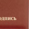 Папка адресная НА ПОДПИСЬ танго, бордо, А4