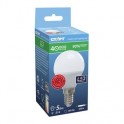 Электрич.лампа светодиодная СТАРТ, мощн 5W, цоколь E14, шар, тепл. бел