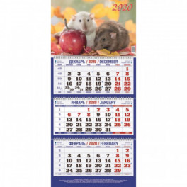 Календарь настенный 2020 Символ года