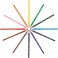 Карандаши цветные 12цв 6-гран BIC Evolution 829029