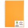 Блокнот Canson Notes на спирали,120гр,14,8х21см,50л, оранжевый